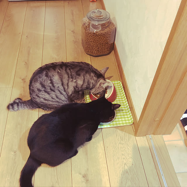 syrnuu946さんの実例写真