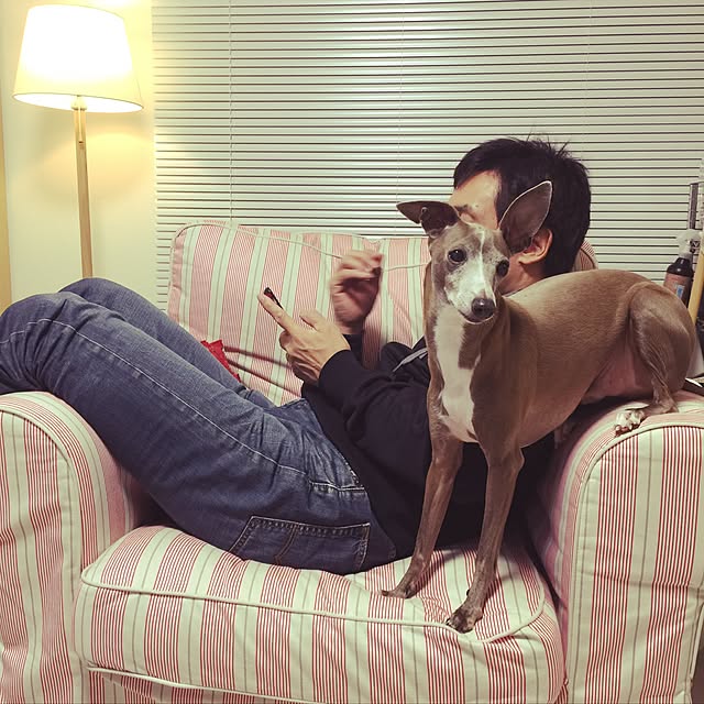 suzyさんの実例写真