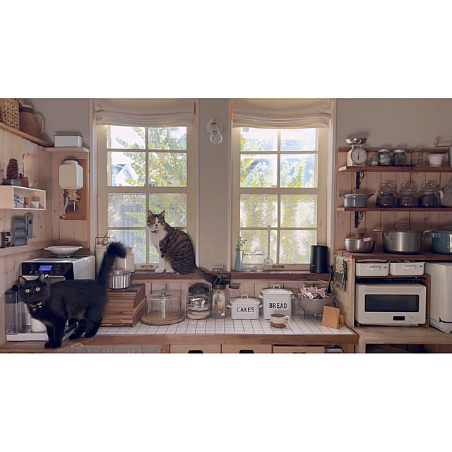 kokkomachaさんの部屋