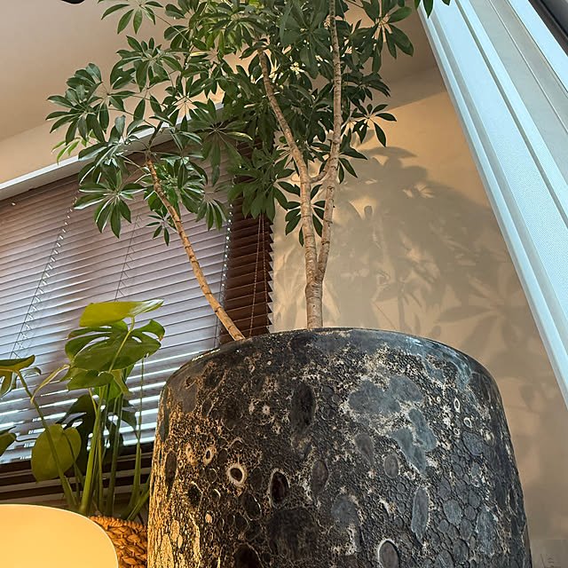 kanibocoさんの部屋