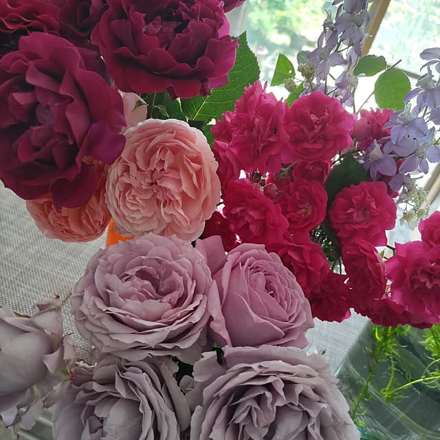 salacocoさんの実例写真