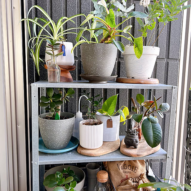 mako2yaさんの実例写真