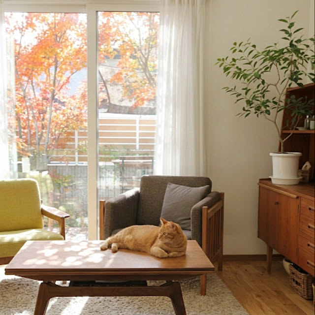 Hisashiさんの実例写真