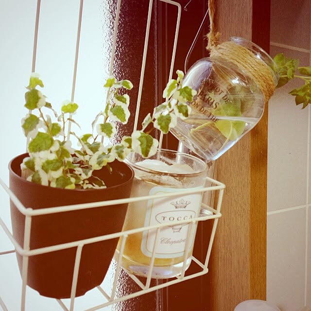 kaechinさんの実例写真