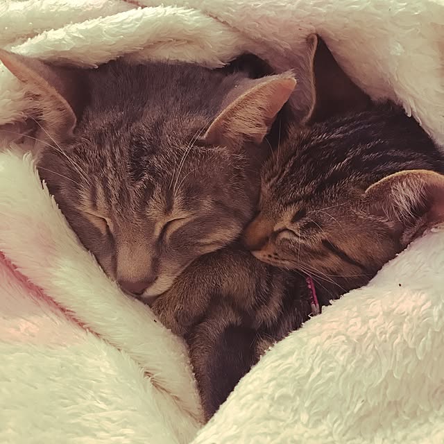 yuz96さんの実例写真