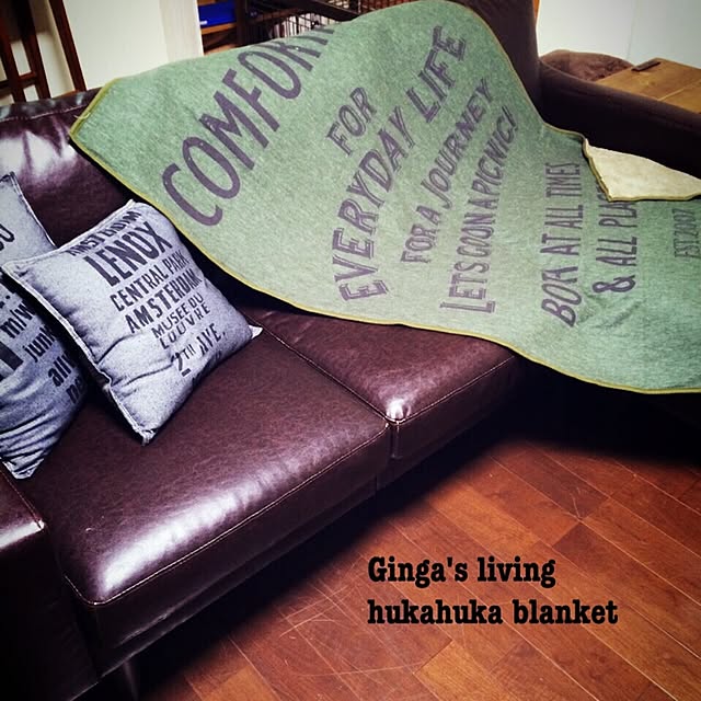 Gingaさんの実例写真