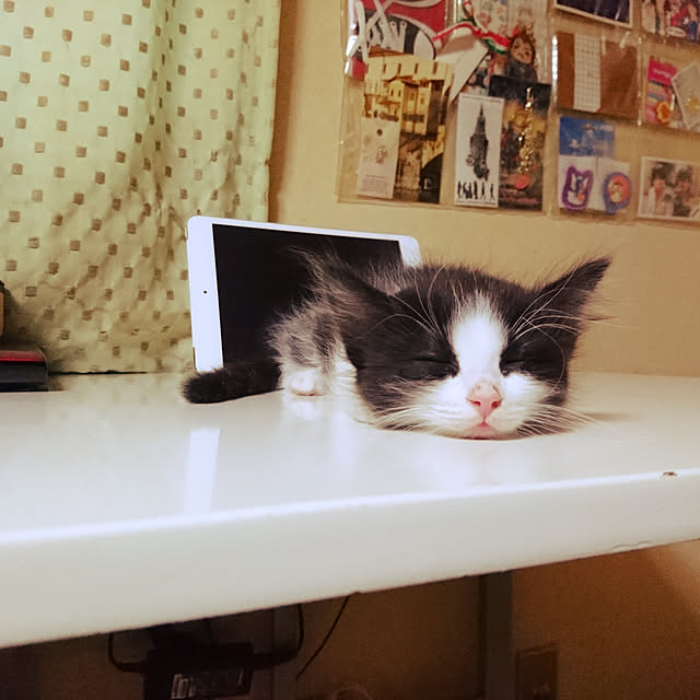 tagamiさんの実例写真