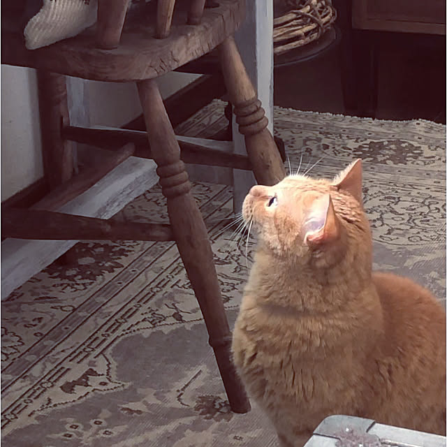 Yuukopeeeさんの実例写真
