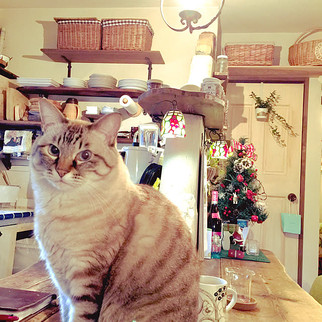 rosemaryさんの実例写真