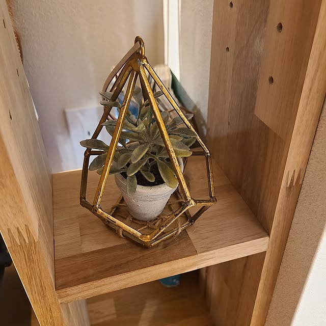 Rubiconさんの部屋