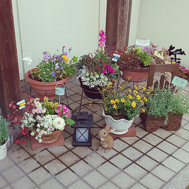 seiko44さんの実例写真