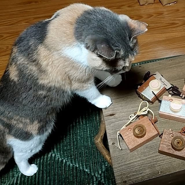 fukuさんの部屋