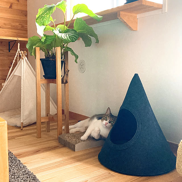 conmichanさんの実例写真