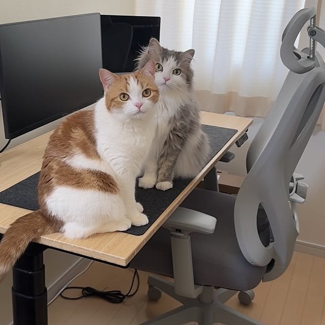 FlexiSpot_JPさんの実例写真