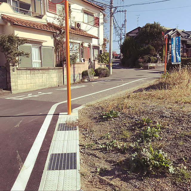 Risaさんの実例写真