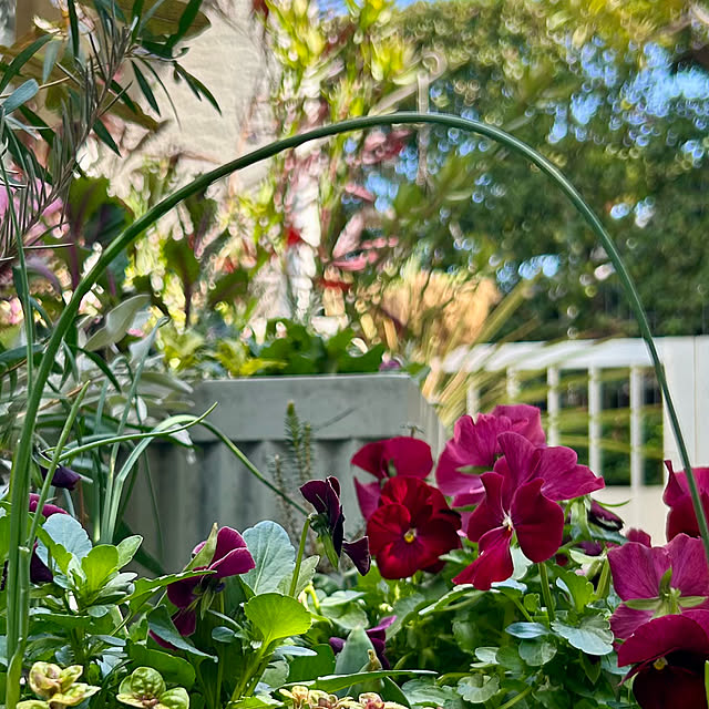 DAYONEさんの部屋