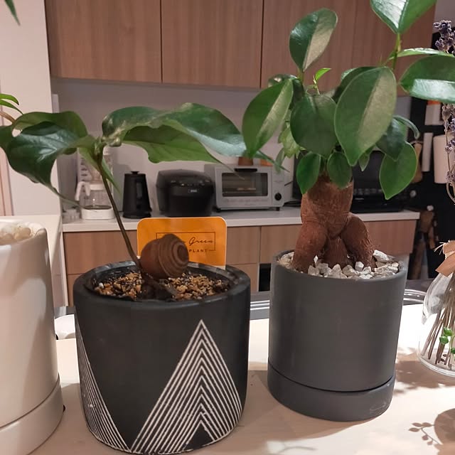 hamuさんの実例写真