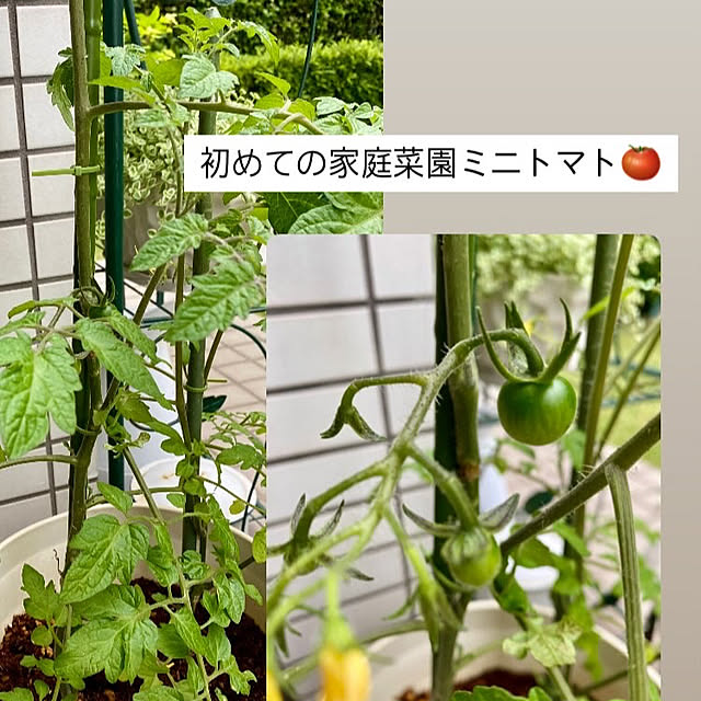 YuuKoさんの実例写真