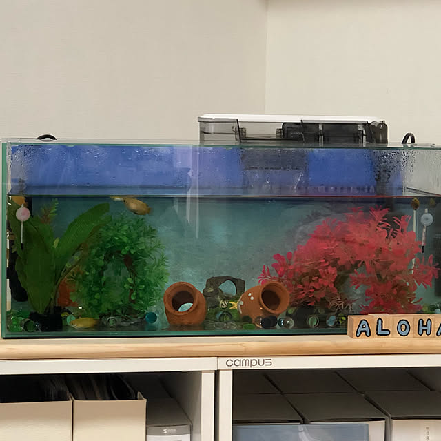 kotoさんの実例写真