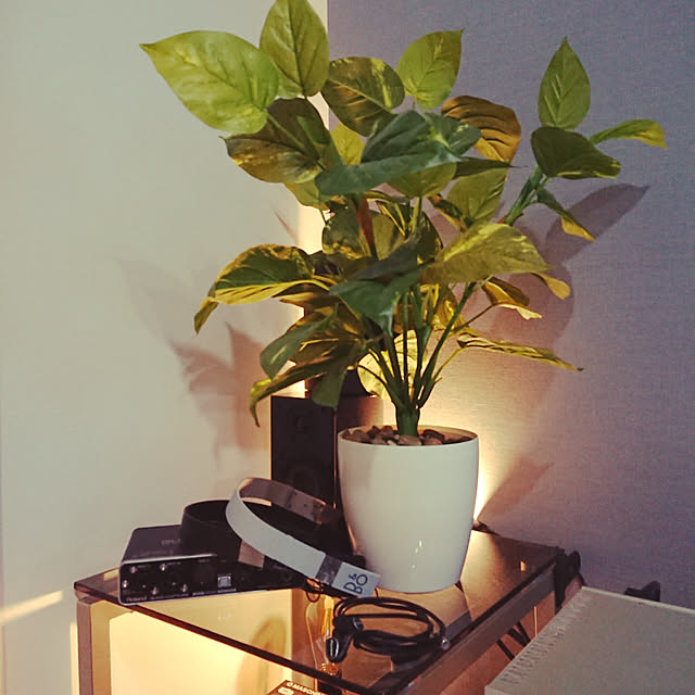 soundfaceさんの部屋