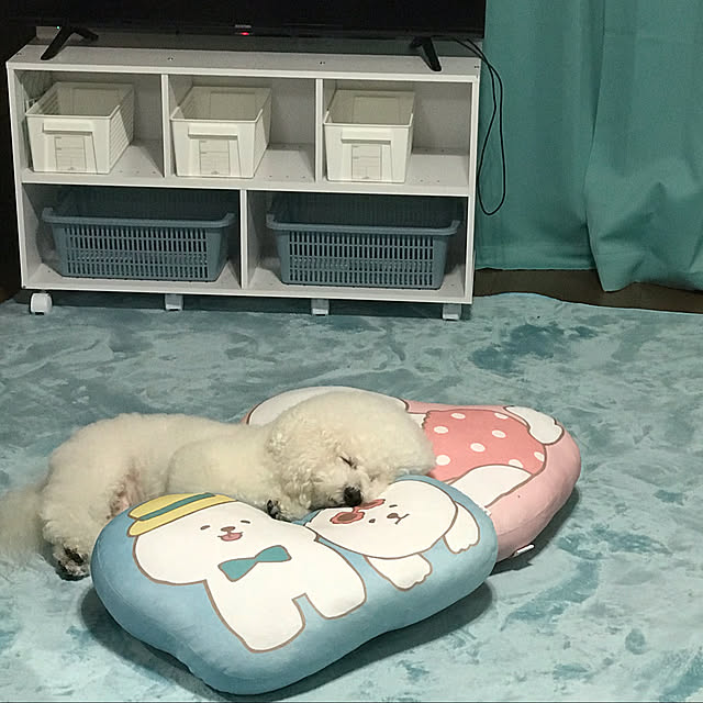 ashimijichibikoさんの実例写真
