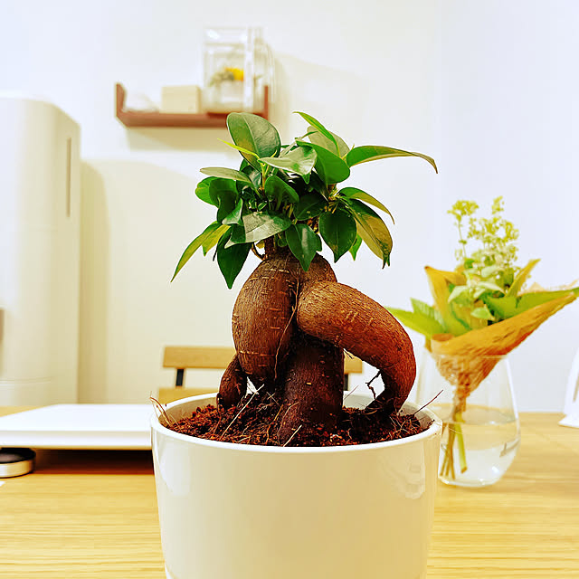 machaさんの実例写真