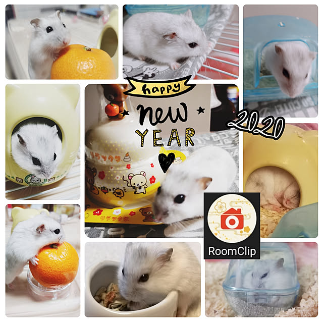 kumingさんの実例写真