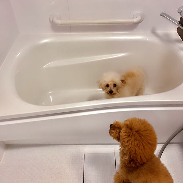 Naomiさんの実例写真