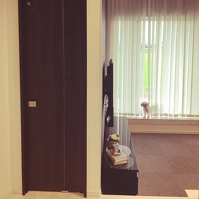 hapikoさんの実例写真