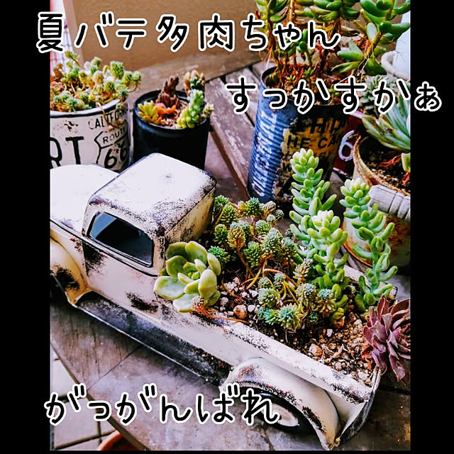 mayuさんの実例写真