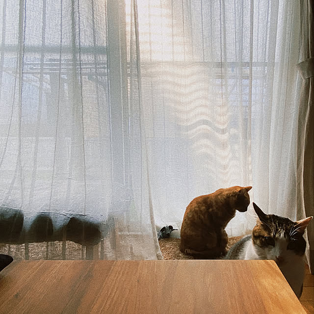 ttoさんの実例写真