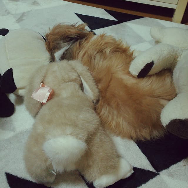 yuwanmama1025さんの実例写真