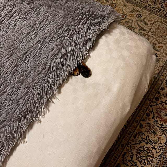 nene6さんの部屋