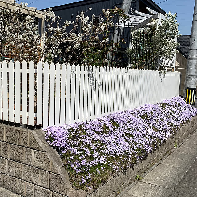 Michiさんの実例写真