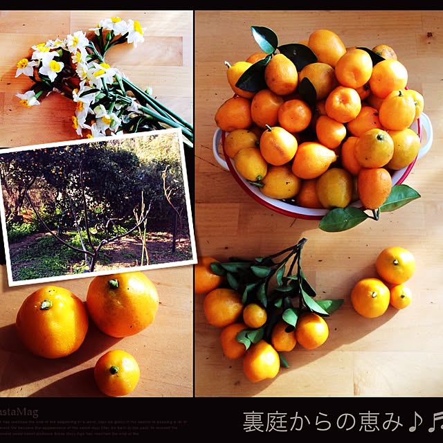 20rose_mamiさんの実例写真