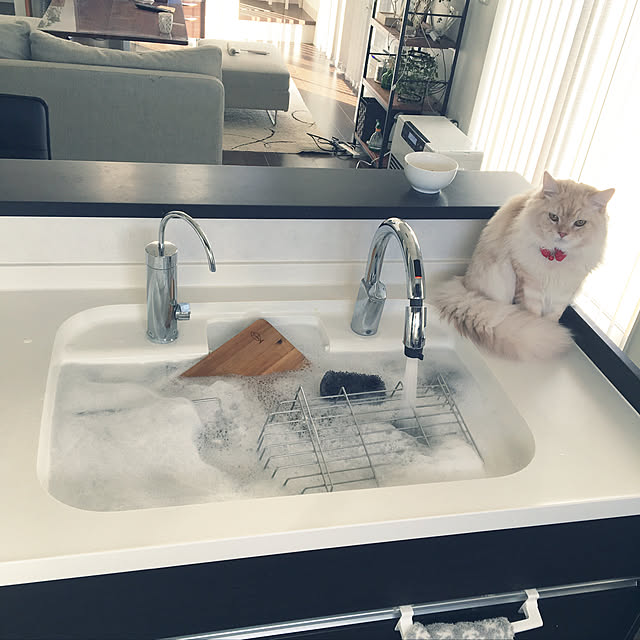 takiさんの実例写真