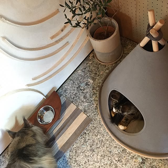 decorameowさんの実例写真