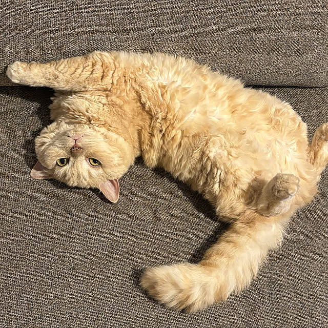 naokoさんの部屋