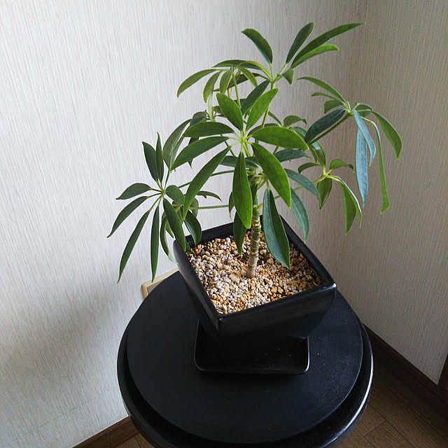 TOPさんの実例写真