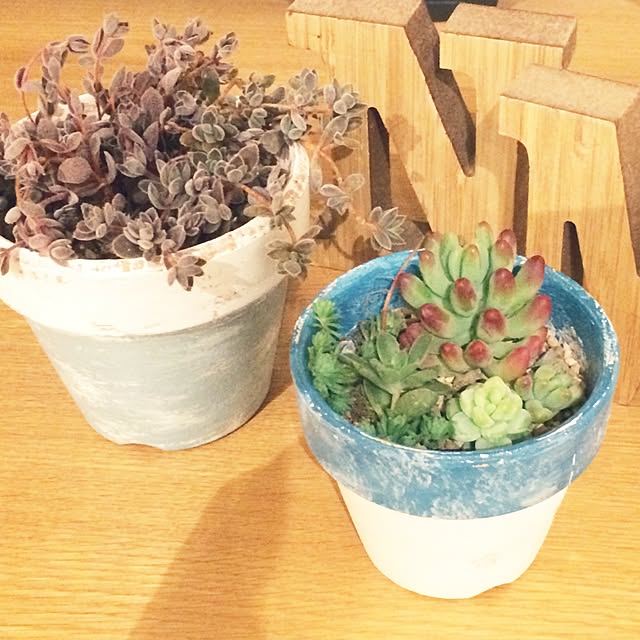 Mihaさんの実例写真