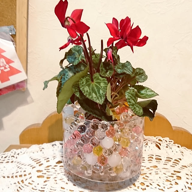 oliveさんの実例写真