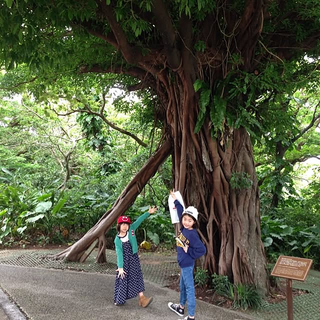 mikiさんの実例写真