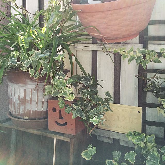mugumuguさんの実例写真