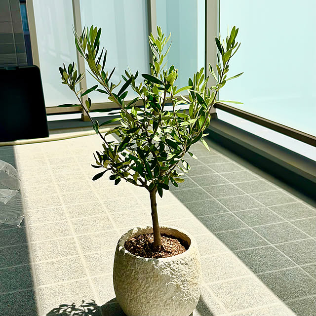 Kanmiさんの部屋