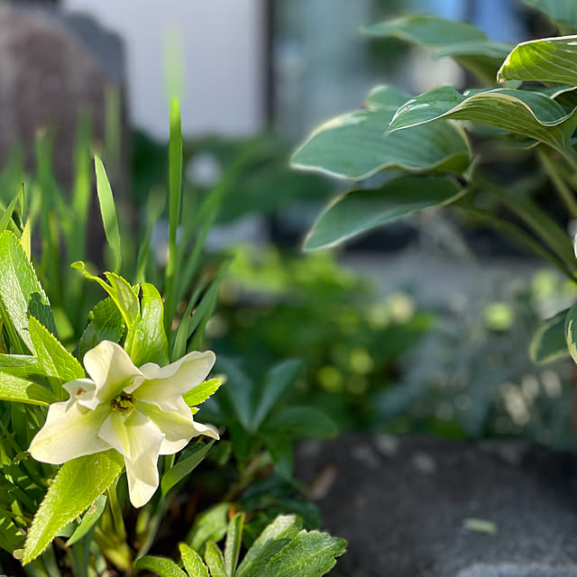 buchiさんの部屋