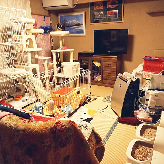 animaruloveさんの実例写真