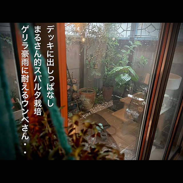 marusanさんの実例写真