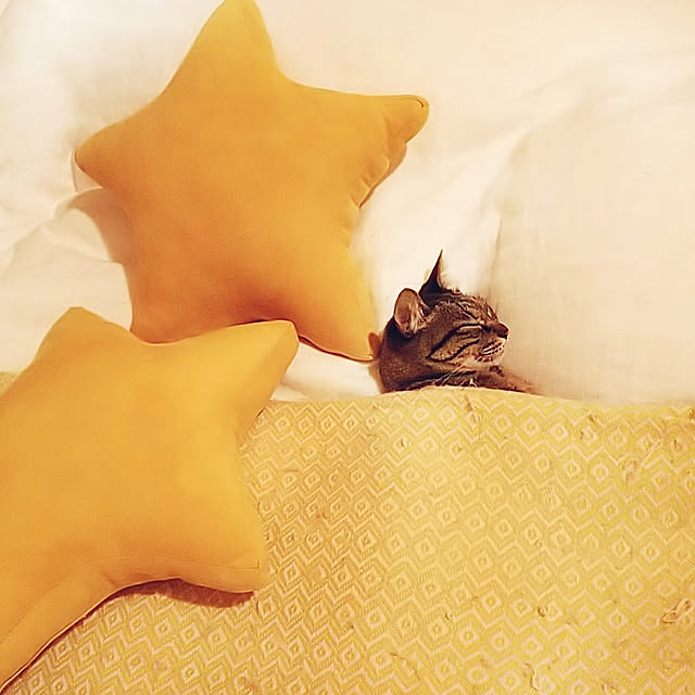 weさんの実例写真