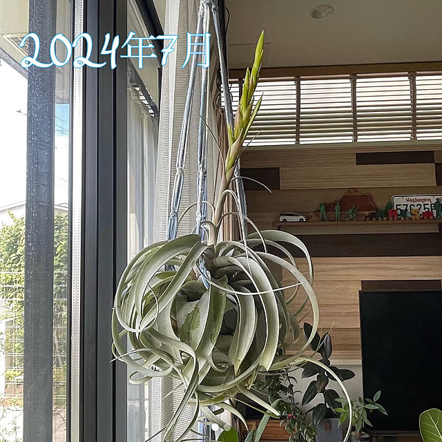 adamoさんの部屋