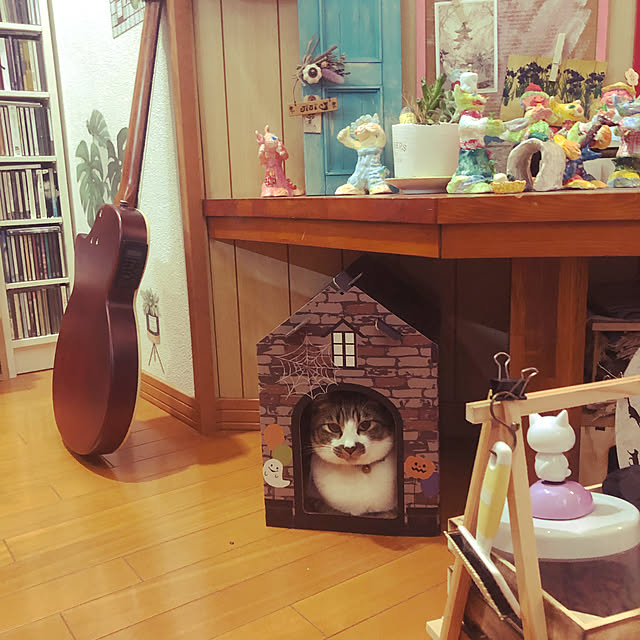 jijiさんの実例写真